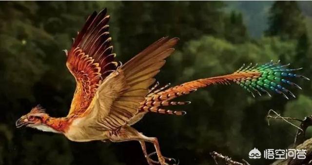 鸟的祖先图片:鸟类真的是恐龙的后代吗？