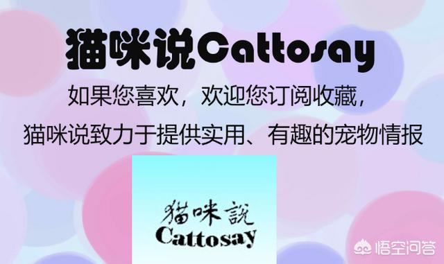 宠物健康护理员模拟题:养老护理员申报条件是什么？养老护理员题库APP用什么？