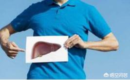 脂肪肝诊疗手册:脂肪肝在超声中怎么看