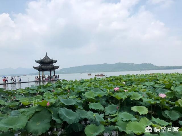 门票价格不菲的杭州景区,为何春节接待游客再创新高？
