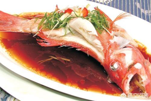 老渔民教你正确烹饪皮皮虾，什么鱼适合清蒸做法是什么