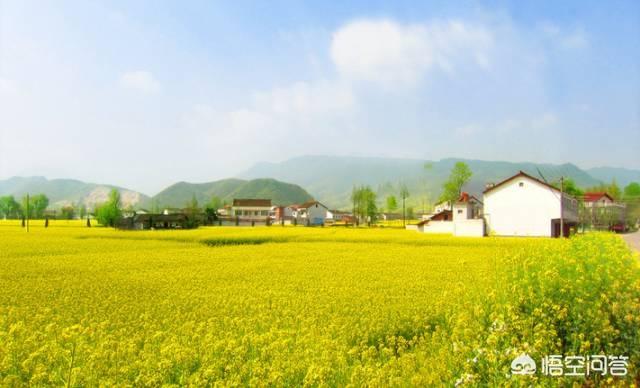 刘强东将把更多时间投入到乡村振兴事业中，如何利用金融服务来振兴农村？