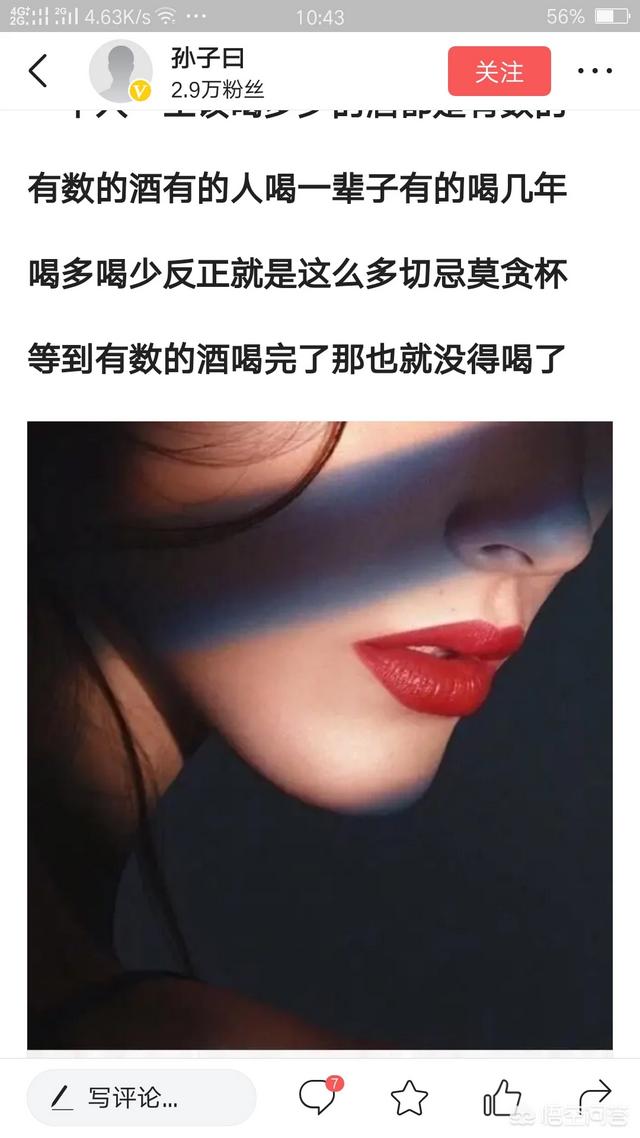 宠物志愿百度网盘:B站有哪些好看的被称为神作的番剧？