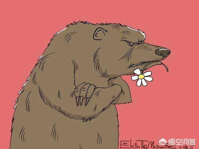 别斯兰事件:俄罗斯情报部队，是如何击毙车臣四任总统的
