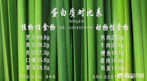 蛋白质含量高的食物:除了鸡蛋白，还有什么食物具有高蛋白质营养价值如何