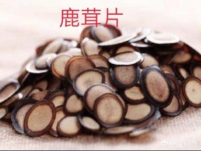 金毛狗脊:农民在野外干活受伤流血，用什么植物止血效果最好？