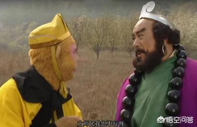 藏獒驮佛:为什么《西游记》中师兄弟三人都不肯背唐僧过河？ 藏獒驮佛的后代