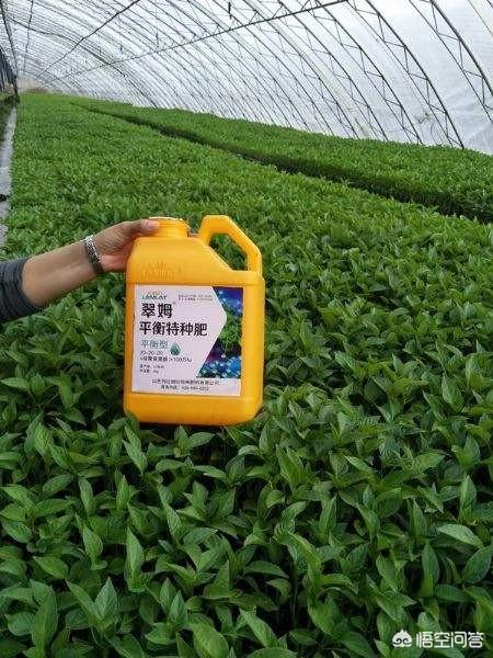 植物营养元素有哪些:农业种植为什么要用微量元素？微量元素有什么作用？