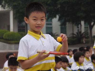 乒乓球训练器球哪里买 如何在家有效地练习乒乓球？