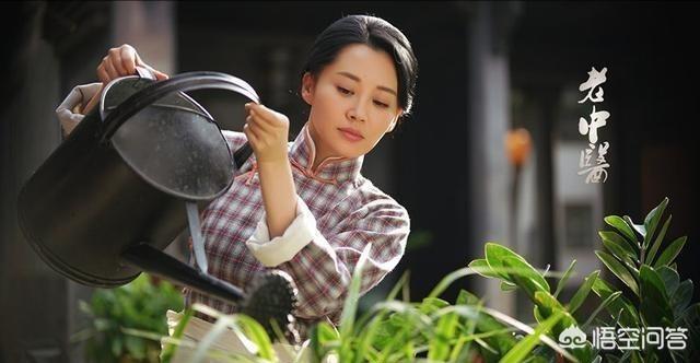 怪医文三块剧情:学中医前景如何？如何学到中医真本事？