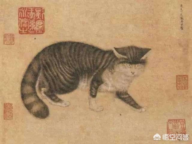 猫狗大战百度影音最新章节:猫狗大战免费观看全片 想买一台笔记本电脑，预算4000左右，有什么推荐？谢谢？