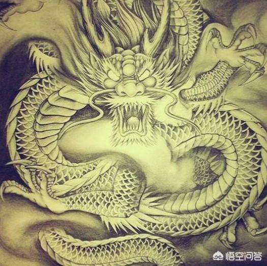 江宁区秦淮河出现龙，外国的龙和中国传说中的龙有什么区别