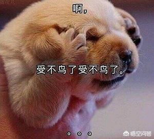 头条问答 假如一个人的身体失去了疼痛的功能 将会是一件好事吗 8个回答