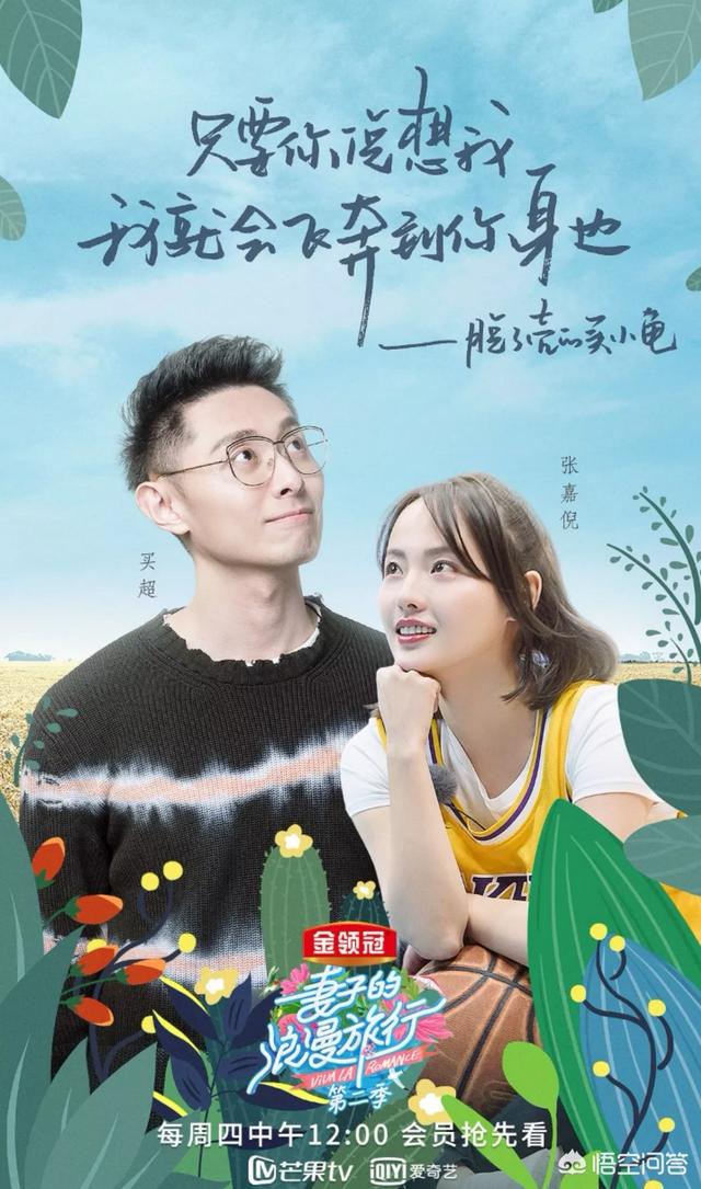 郭晓冬妻子:《妻子的浪漫旅行》为什么这么火？