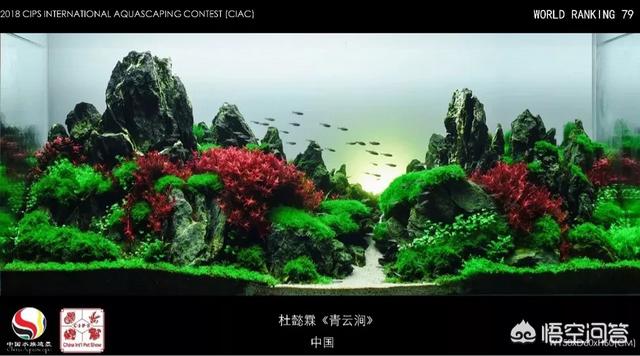 动态金鱼缸屏保:在饲养金鱼的水族箱里，可以铺设底沙或者种植水草吗？