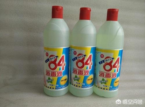 宠物兔拉肚子:兔子吃白菜拉稀怎么办，小兔子拉肚子会不会死？