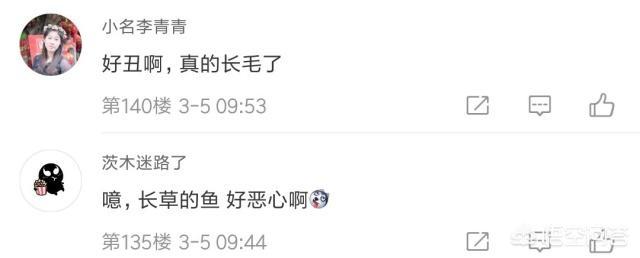 《王者荣耀》庄周新皮肤上线24小时,销量堪比至尊宝！喷子网友纷纷被打脸！你如何评价？