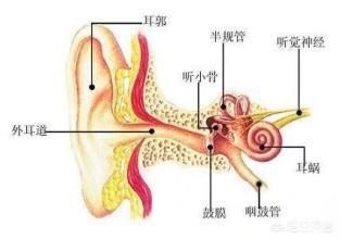中耳炎的症状及治疗还问大连春柳:中耳炎引起的耳鸣。这种症状可以治疗吗？