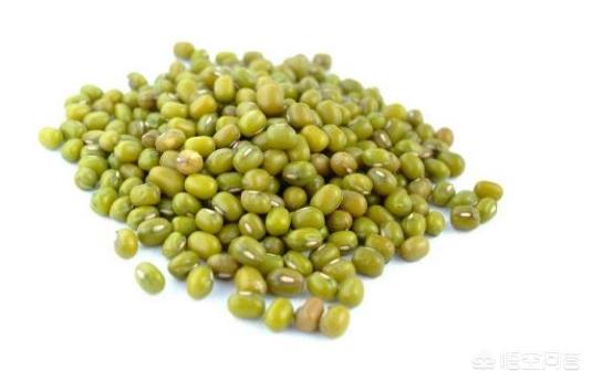 头条问答 - 绿豆怎么种才结出又多又饱满的果实?(5个回答)