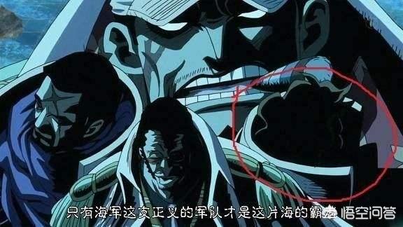 头条问答 海贼王 里藤虎是否具有击败赤犬的能力 老陈说动漫的回答 0赞