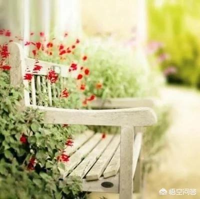 吴小莉照片:著名主持人许戈辉是人生赢家吗？
