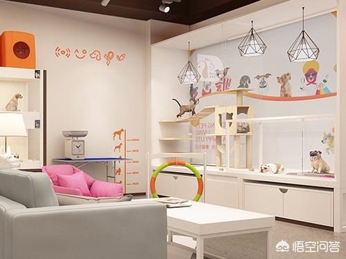 济南 宠物美容师要学多久:宠物店加盟培训多长时间？