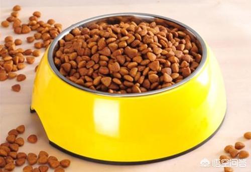 平顶山沙皮犬图片:沙皮犬毛不好，该怎么办？