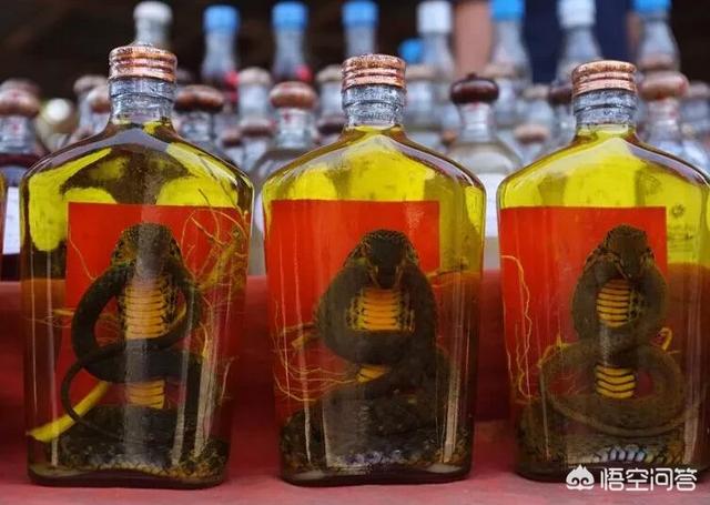 金钱白花蛇:蛇泡酒真的有功效吗？泡出来的酒是什么成分有人研究过吗？