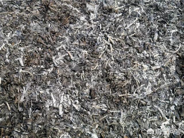 藻复康:虾苗，打什么药可以去青苔？