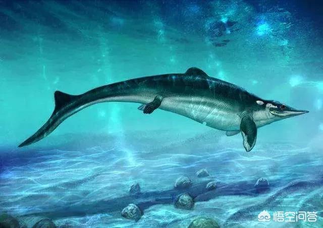 科摩多龙图片:为什么蛇颈龙、鱼龙、沧龙和翼龙不是恐龙？