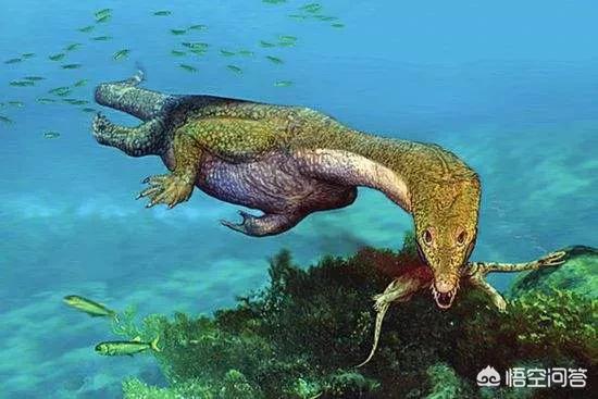 科摩多龙图片:为什么蛇颈龙、鱼龙、沧龙和翼龙不是恐龙？