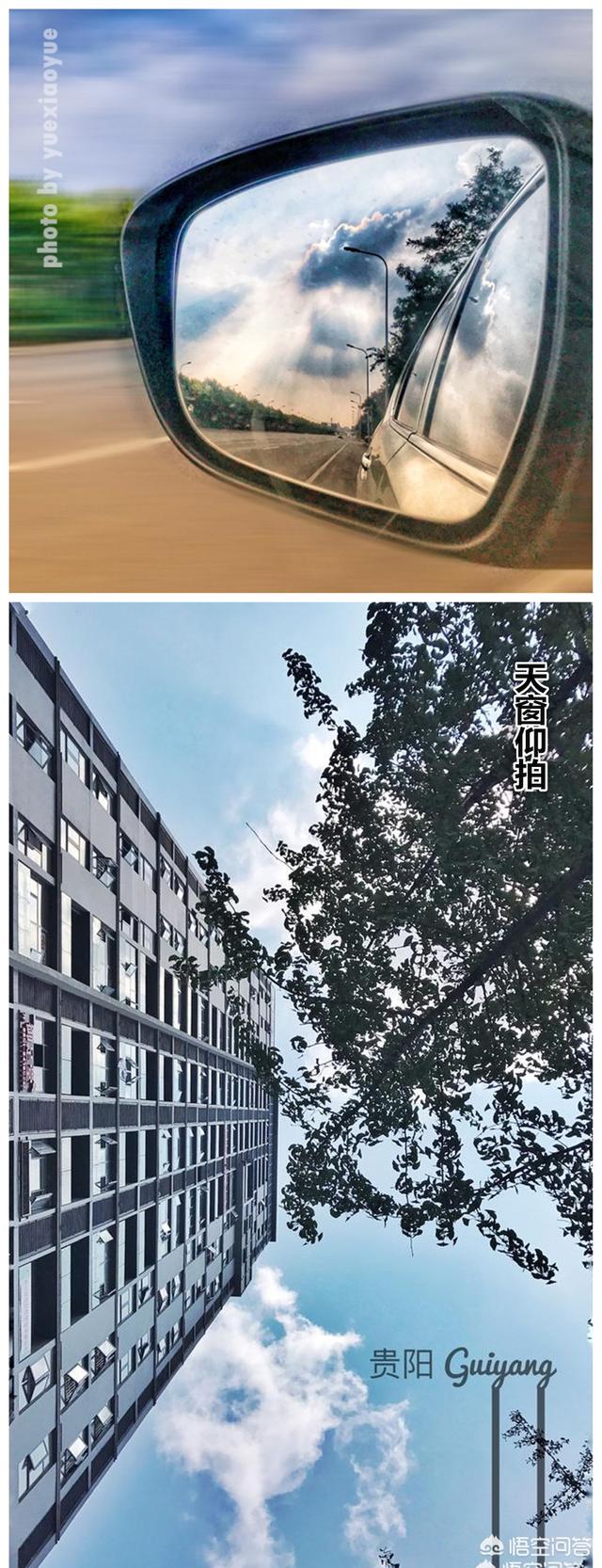 爱拍宠物摄影:爱好摄影的你，感觉自己是什么水平？晒出三张照片来分享一下吧？