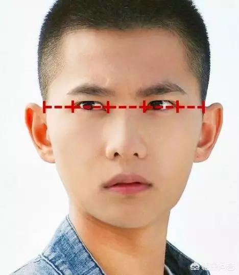 张瀚的眼睛:桃花坞张翰又开始暧昧了，该结婚的年纪他为什么不好好谈恋爱？