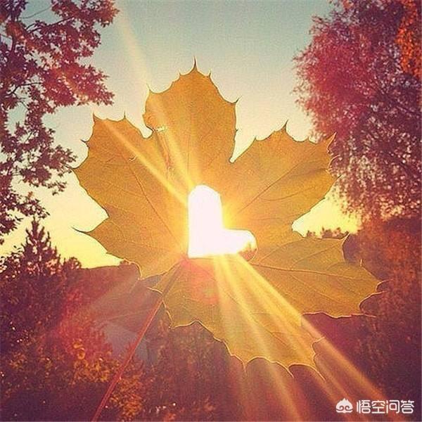 适合写给男友的情话。（撩的,甜的,骚气的,露骨的都可以）？