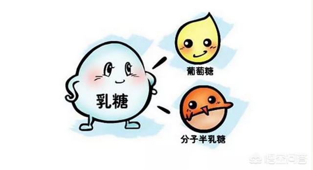 乳糖不耐受宝宝最常见的症状有哪些？插图28