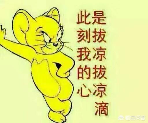 什么是过度道歉？该如何把控？插图5