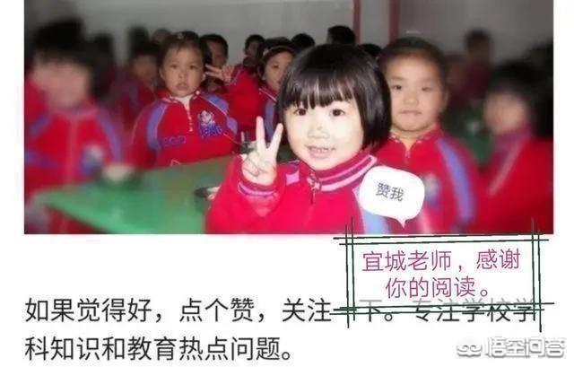 新概念训狗教程下载:成人英语零基础自学哪款软件比较好？