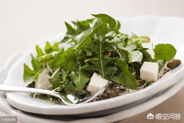 农村具有“清热解毒”的野菜有哪些？