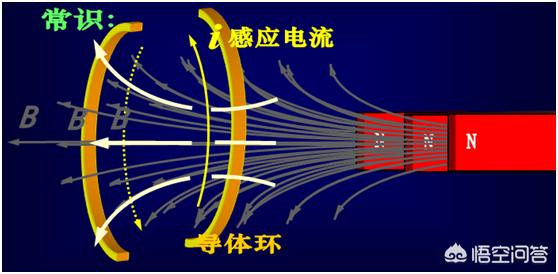 麦克斯韦:麦克斯韦方程组的深刻理解有哪些？