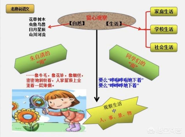 张衣:在课堂之外如何提高语文成绩？