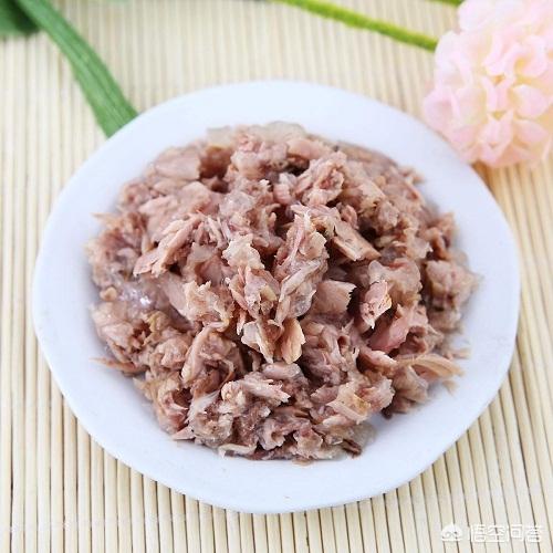 猫咪血尿可自己好么:加菲猫尿尿出血可以治愈吗？