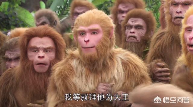 猕猴:《西游记》中，除了六耳猕猴之外，还有没有其他的坏猴子？