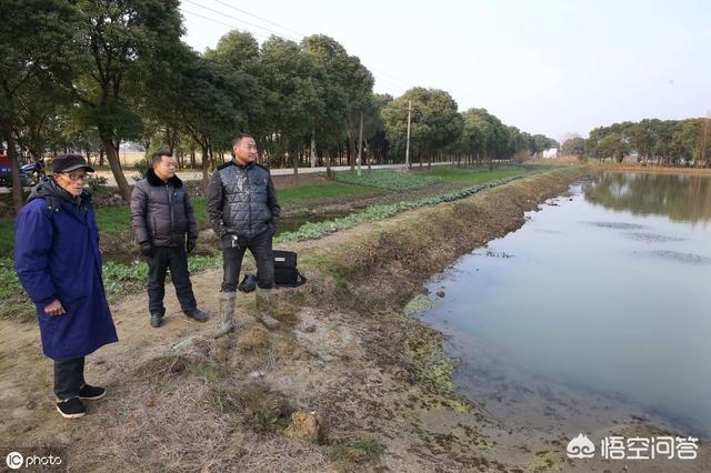 南美水族论坛:南美白对虾养殖过程中，如何通过水色判断水质？