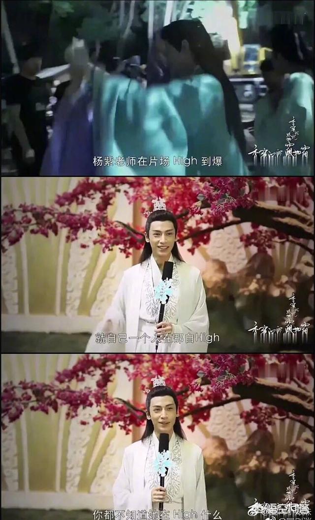 柳岩露底:如果可以，你最希望和哪位女明星成为同事？