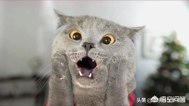最近常常在思考生死的问题？大家对于死害怕吗？