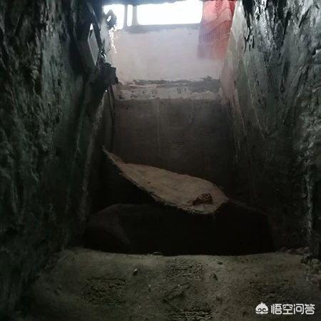 狗茎少女:狗少女游戏 小女孩遛狗发生意外，老人被狗绳绊倒身亡对小女孩产生多大阴影？