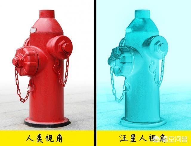 改变世界的犬类 mkv:狗狗的眼睛里看到的世界是什么样的？