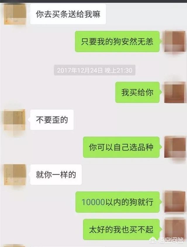 何兴丽摔狗案件:柯基犬被摔事件：当事双方均被行拘7天，你怎么看？