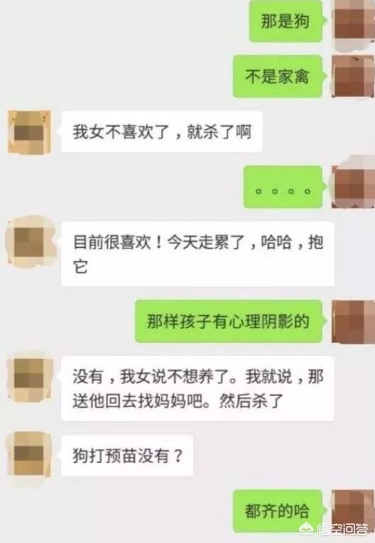 殴打柯基幼犬:柯基犬被摔事件：当事双方均被行拘7天，你怎么看？