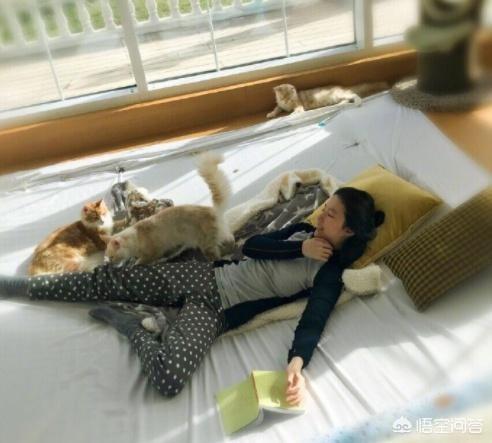 张含韵近照:娱乐圈众多女星，刘亦菲的颜值和气质为何令网友难忘？